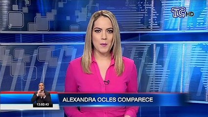 Alexandra Ocles compareció ante la comisión de fiscalización