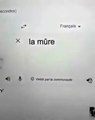 La langue française avec google traduction !