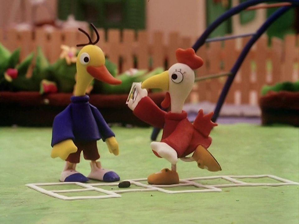 Koki - Koki timadora