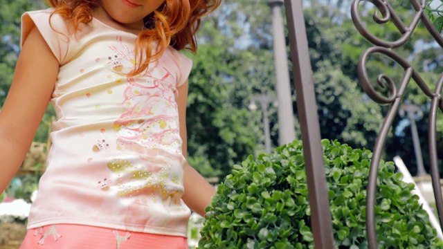 Infanti Primavera Verão João Paulo de Carvalho Lofiego