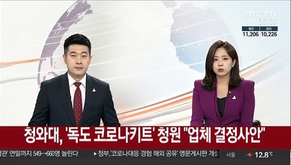 청와대, '독도 코로나키트' 청원에 "업체 결정사안"