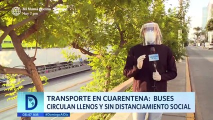 Domingo al Día: Buses circulan llenos y sin distanciamiento social