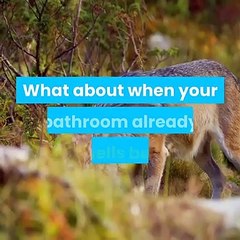 Easiest Way To Keep Your Bathroom Smelling Fresh And Amazing Always 2020