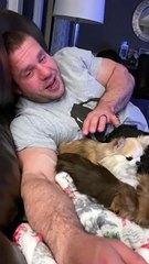 Dogs Having a Sibling Dispute