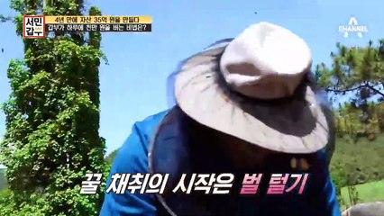 [선공개] 하루에 천만원?! 벌꿀로 일반인 월급 몇 달치 하루에 그냥 벌어버리는 갑부 스케일~!