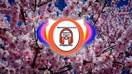 [COPYRIGHT FREE]© Blossom | Chill/Vibey Type Beat [FREE] (prod. prplwolf) [COPYRIGHT-SAFE]