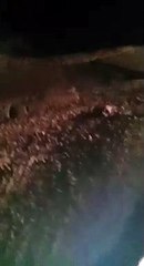 बसरेहर थाना क्षेत्र में जमकर हो रहा है मिट्टी खनन