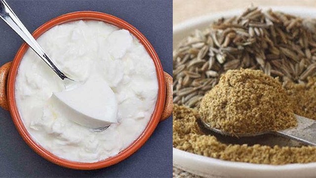 गर्मियों में मिलाकर खाएं दही में भूना हुआ जीरा होंगे जबरस्त फायदे । Cumin & Curd Benefit । Boldsky