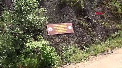 Endemik ‘peygamber çiçeği’ için güzergah değişikliği