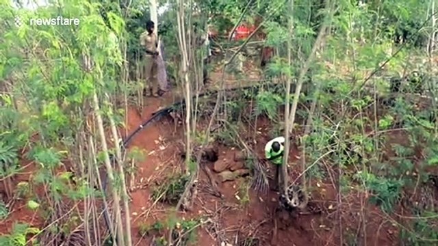 South Indian firefighters rescue stray dog that fell into 40-foot-well