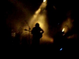 bb brunes Cavalier noir