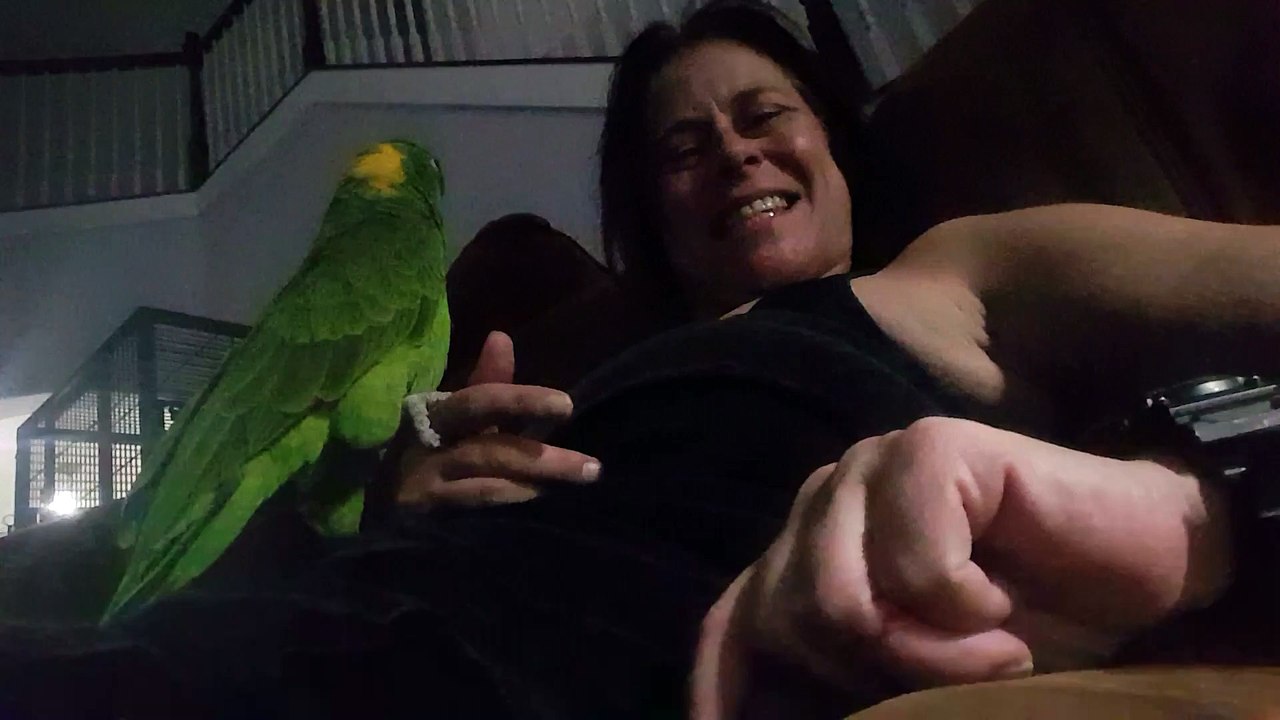 cody the parrot and aunt lainey