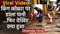 King Cobra Bath Viral Video : पानी डालता रहा शख्स,नहाता रहा किंग कोबरा; Watch Video | वनइंडिया हिंदी