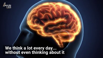 Some Amazing (And Gross) Things Our Bodies Do in a Single Day