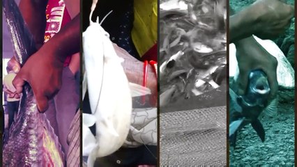 Deep water Fishing by TUBE - Amazing Regional Fishing