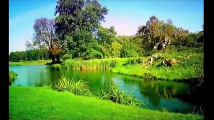 Karo Na _ Corona Poetry _ Poetry and Music By Nirmal nk