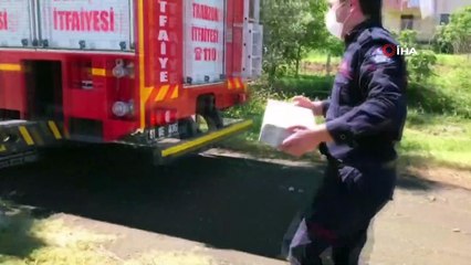 Yuvasından düşen karga yavrusu için seferber oldular
