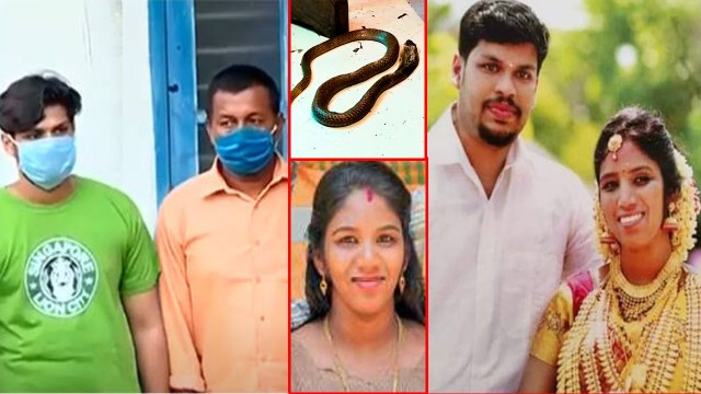 பாம்பை ஏவி விட்டு மனைவியை கொலை செய்த கணவன்