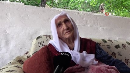 Asırlık çınarın en buruk bayramı