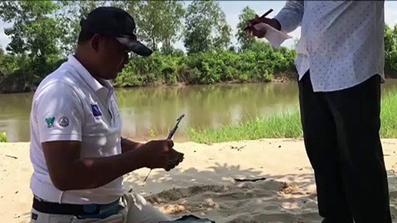 23 extrem seltene Schildkröten geschlüpft