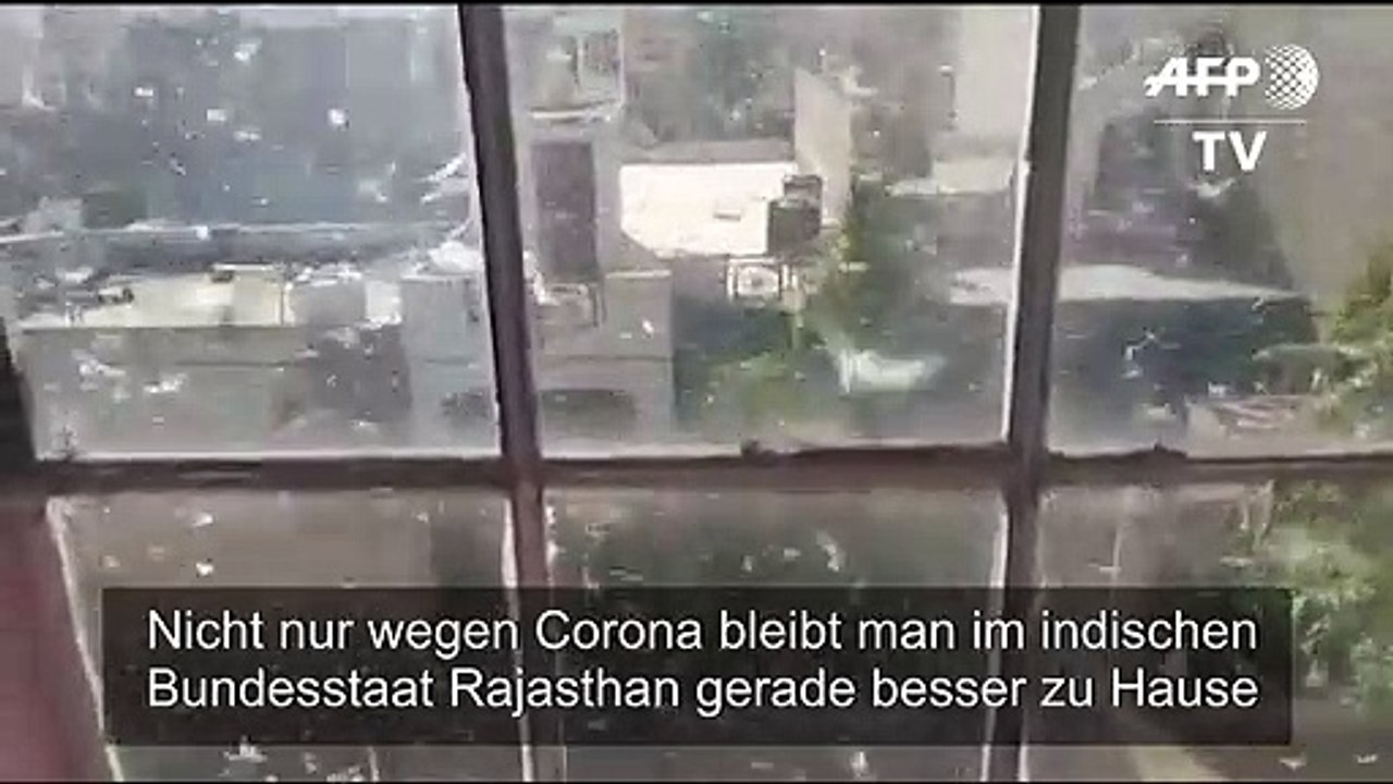 Heuschrecken-invasion in indien