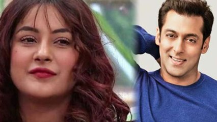 Shehnaz Gill को मिली Salman Khan की ये नई फिल्म; Full Details | FilmiBeat
