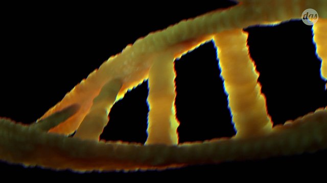 Des chercheurs découvrent que la peur retourne littéralement l’ADN dans le cerveau