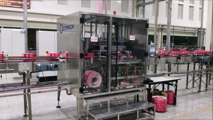 Carry Handle Machine Handlepack-S-Side by CYPACK