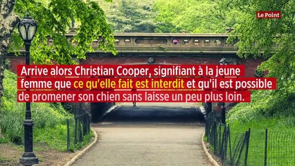 « Un Afro-Américain me menace » : scène de racisme ordinaire à New York