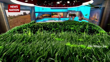 शहर-शहर टिड्डियों का आतंक, यूपी के कई जिलों में अलर्ट, किसानों पर दोहरी मार