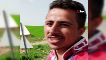 Hayvan dışkısına saplanan inek kurtarıldı