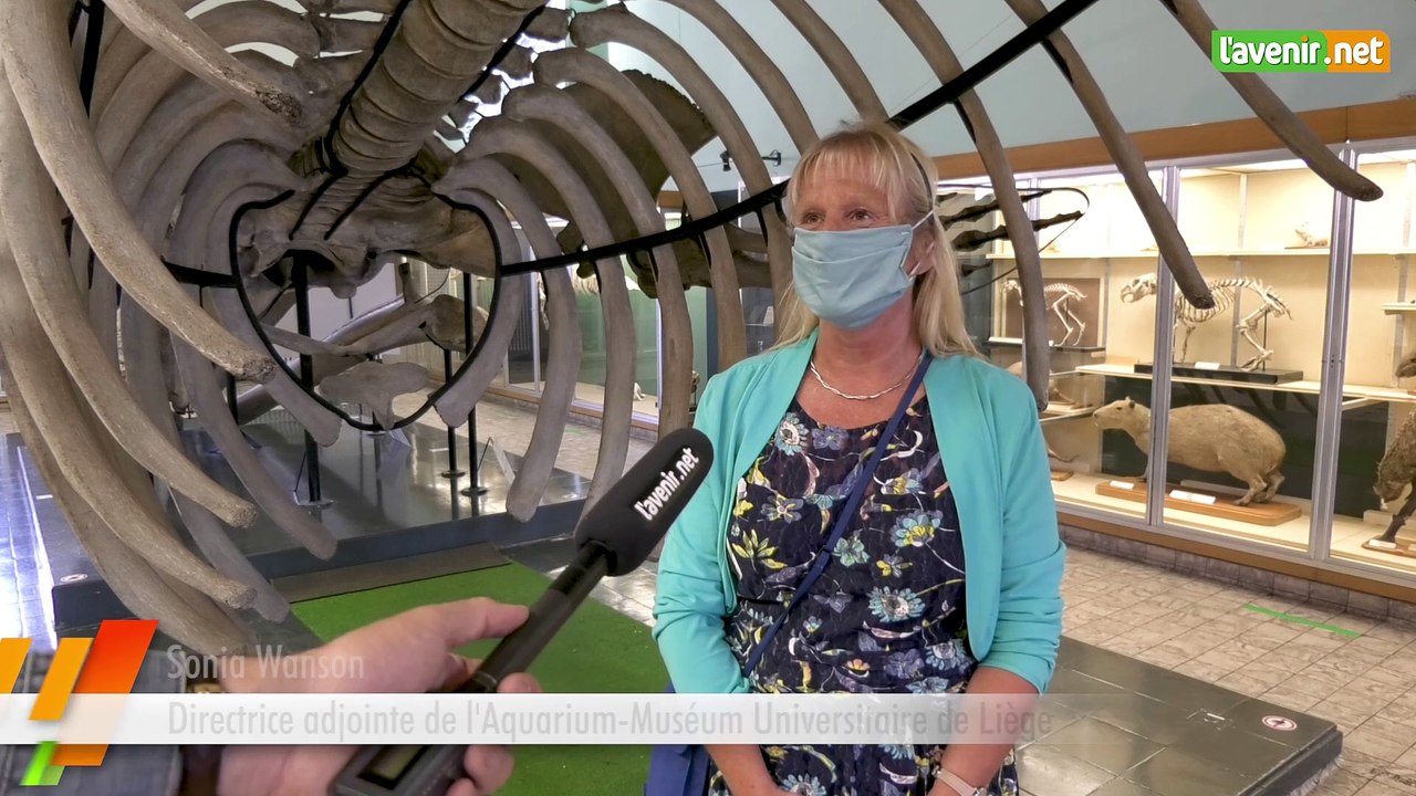L’Avenir – Réouverture de l’Aquarium-Muséum de Liège
