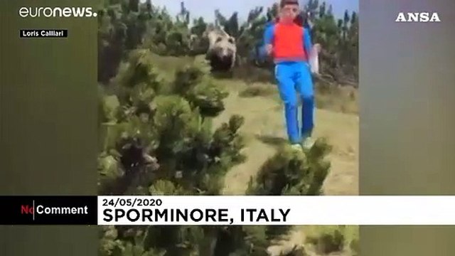 Italie : un enfant de 12 ans face à face avec un ours brun