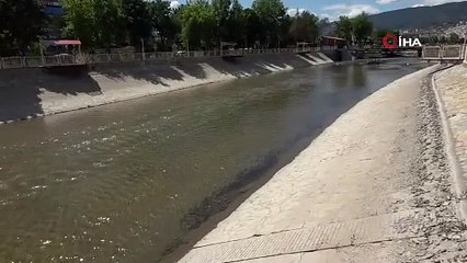 YASAKLI BAYRAM BALIKLARA YARADI