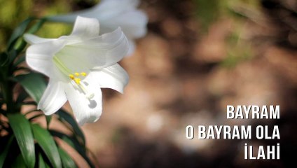 Müziksiz İlahiler - Bayram O Bayram Ola