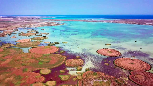 Göksu Nehri Dalyan Kuş Cenneti | Mersin Drone Çekimi