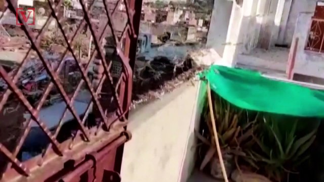 Parts of India Swarmed by Locusts Feasting on Crops and Agriculture