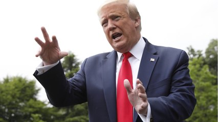 World Health Organization Halts Trials Of Hydroxychloroquine