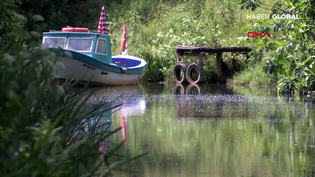 Balık tutulan, kurbağa sesleri gelen Riva Deresi'nin hali içler acısı... Rengi siyaha döndü