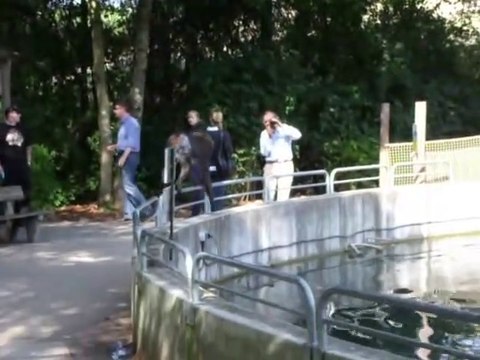 Un singe réussit à s'échapper de son enclos au zoo