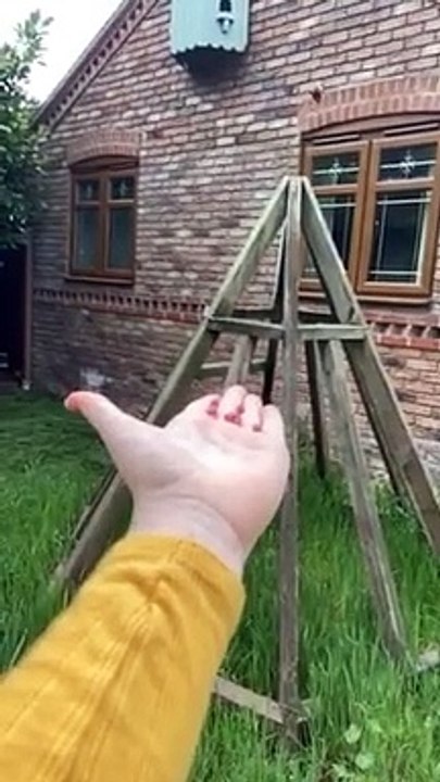 Il nourrit un oiseau sauvage dans sa main, images magnifiques