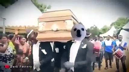 Meme del ataúd version perro