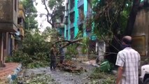 Top News - Qyteti indian Kolkata shkatërrohet nga një cikloni i fuqishëm