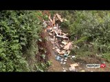 Në kërkim të një ‘dorë të hekurt’ kundër 'bombës' ekologjike! Report TV rikthehet në lumin e Tiranës