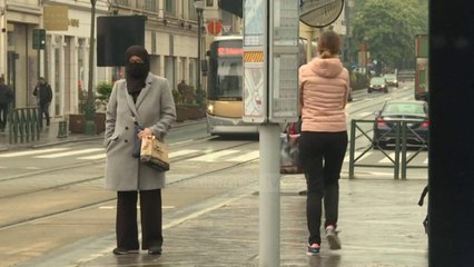 Top News - Vala e dytë në Europe/ Nuk është vetëm një teori