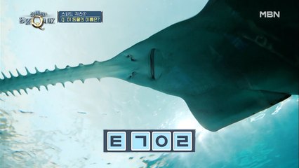 이사배, 탈골우려 발언?! 초성 스피드 퀴즈①