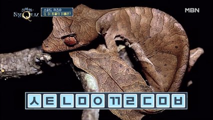 황제성, 원초적 접근으로 정답! 초성 스피드 퀴즈④