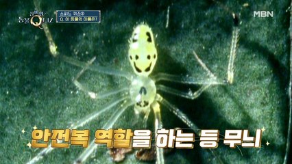 이연복, 정답을 향한 절규! 초성 스피드 퀴즈②
