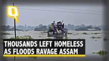 Flood Ravage Assam: Homes Washed, Crops Ruined, Thousands Affected