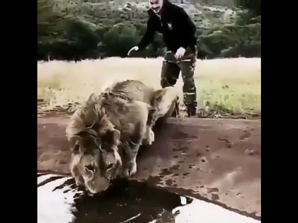 Africa Day WhatsApp Status 2020 | Africa Day 2020 Status | Africa Day 2020 | Africa Day Special 2020